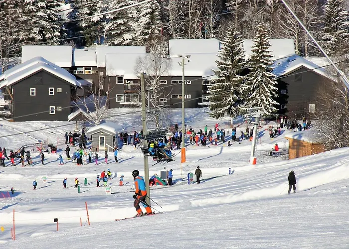 Apartment Alpinlandsby Pluss *