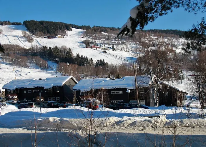 Apartment Alpinlandsby Pluss